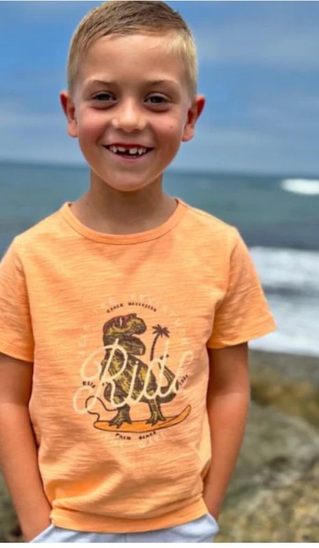 Falmouth Printed Tee - Dinosaur