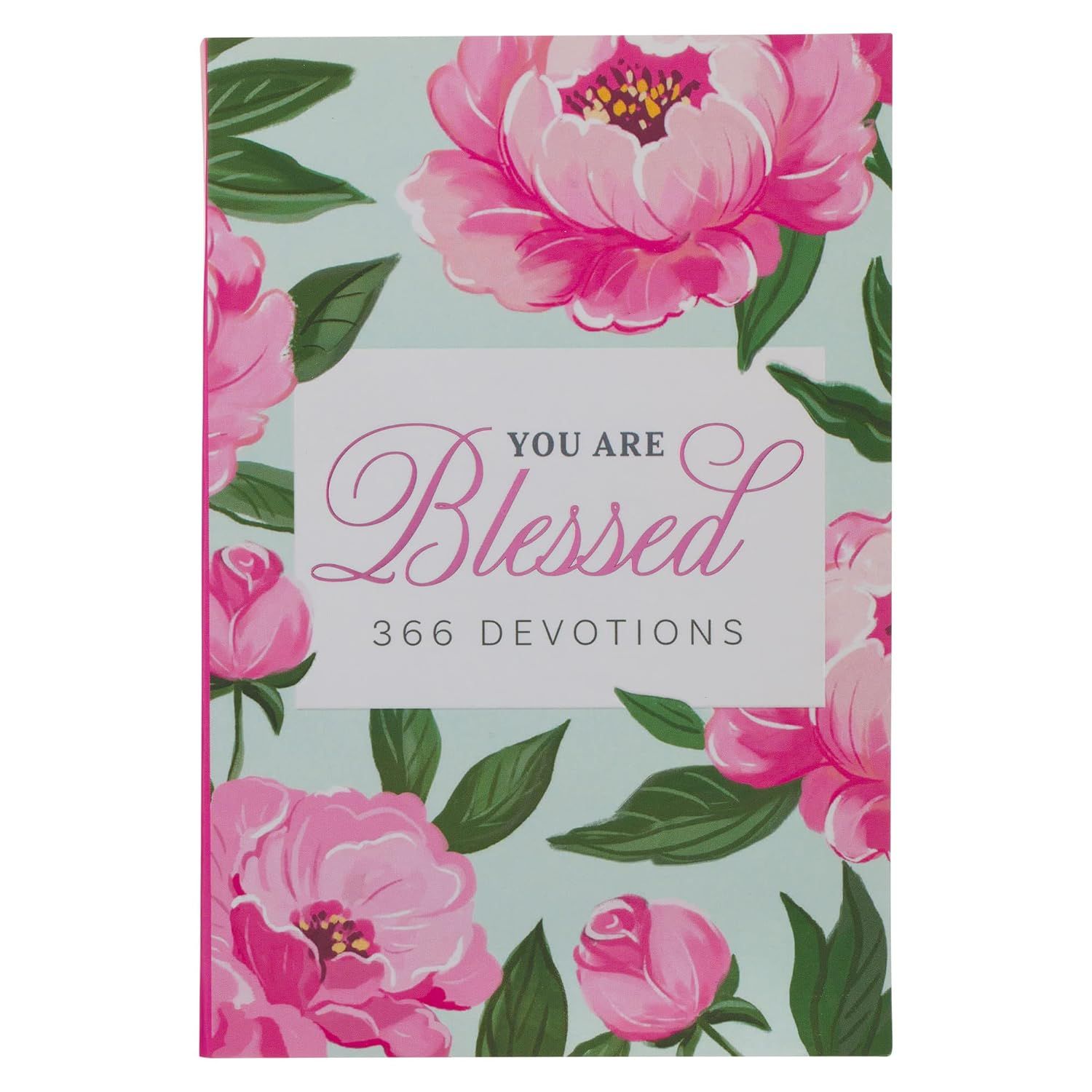You are Blessed 366 Devotions