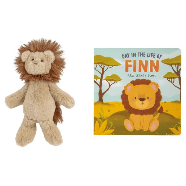 Day in the Life of Finn Book w/Plush Lion