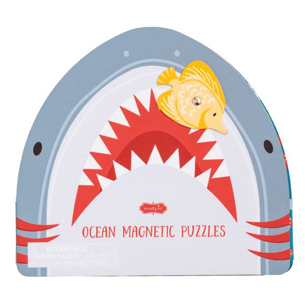 Ocean Magnetic Puzzle