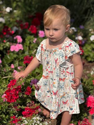 Nellie Dress Dragonflies