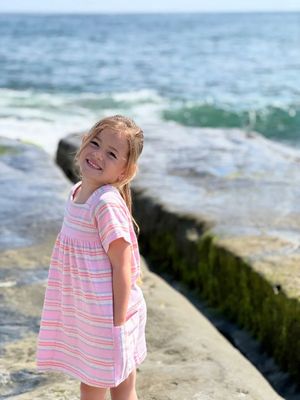 Rylie Dress - Pink Stripe