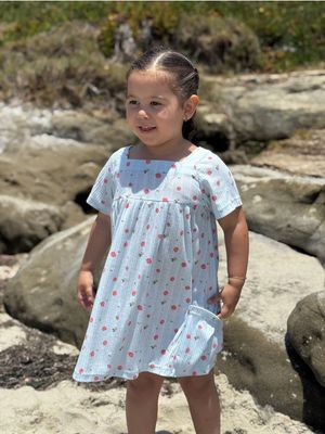 Rylie Dress - Blue Strawberry