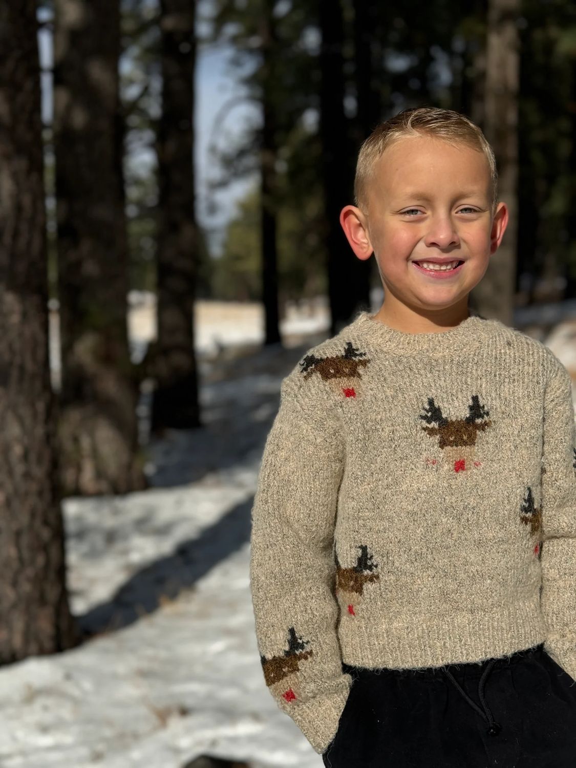 Rudy Sweater  Beige Reindeer