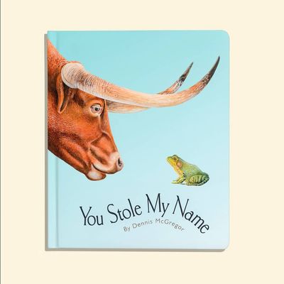 You Stole My Name Board Book