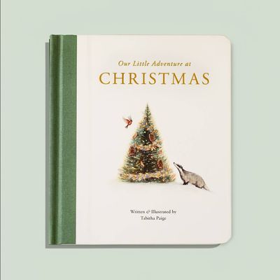 Our Little Adventure at Christmas Board Book