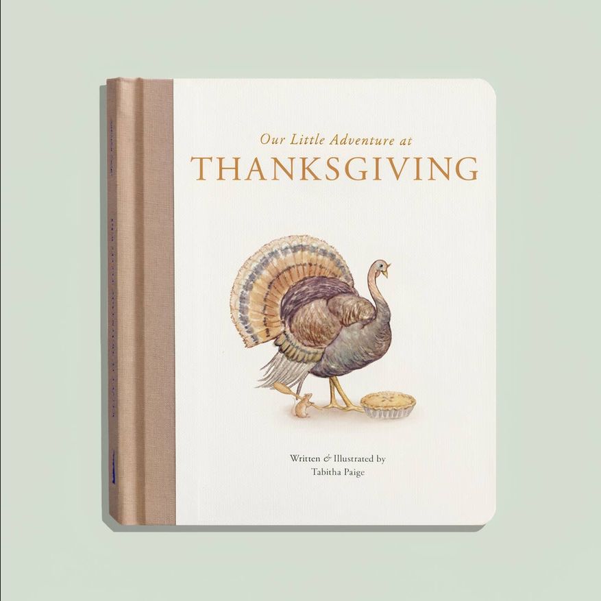 Our Little Adventure at Thanksgiving Board Book