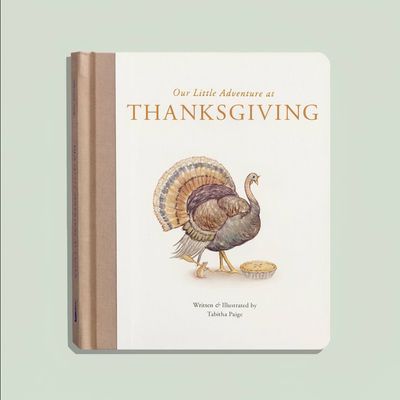 Our Little Adventure at Thanksgiving Board Book