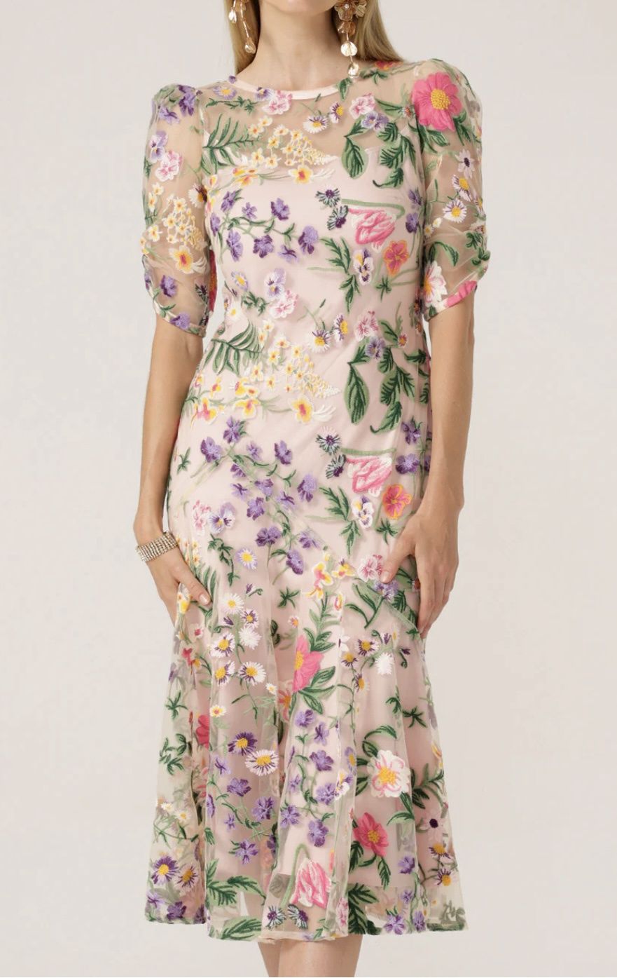 Sacha Drake Cardelina Dress D78-S24