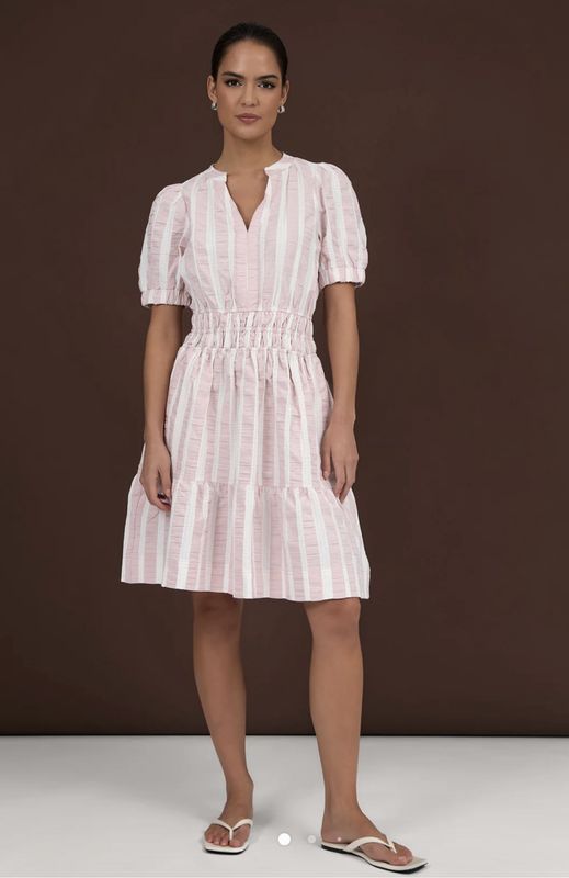 Adorne Violette Cotton Stripe Dress