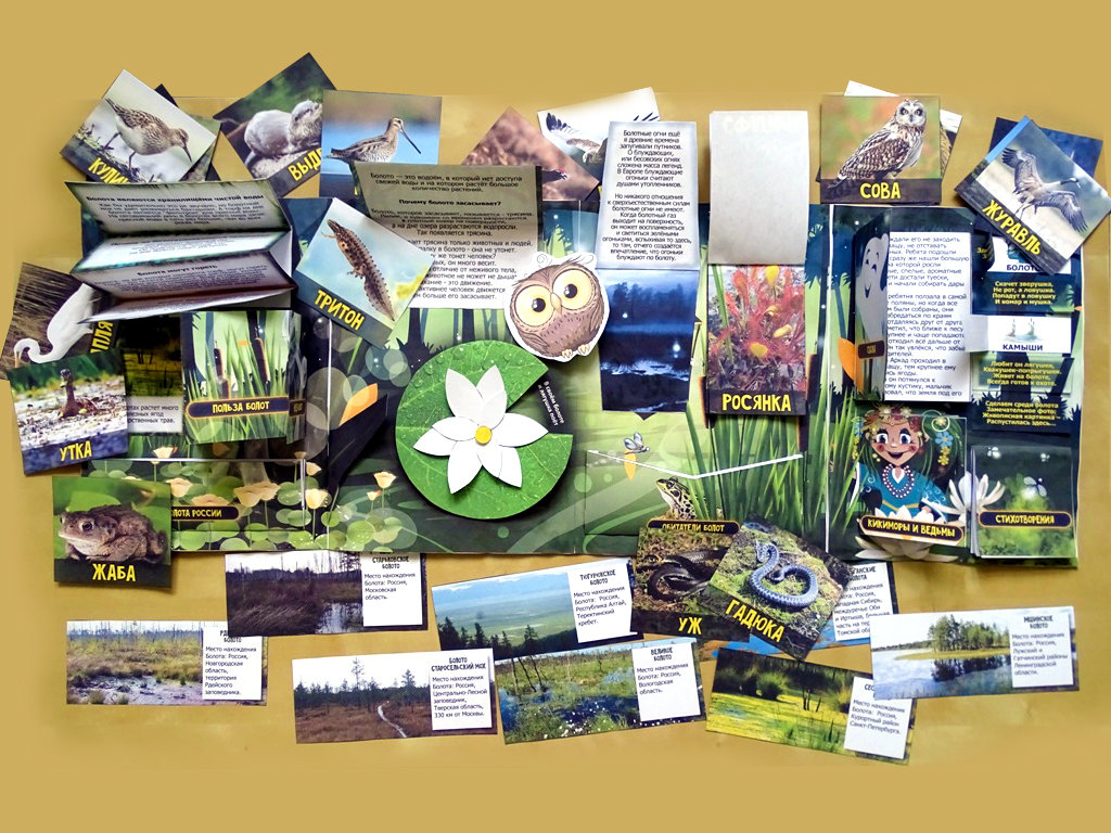 лучик детства лэпбук для дошкольников. сайт лепбук город "лучик детства". лэпбук азбука здоровья. лучик детства лэпбук школа. лучики лэпбук.