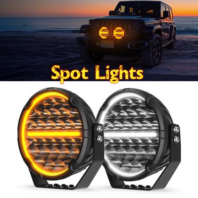 Spot Lights