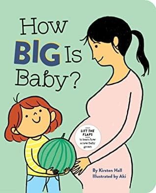 How Big Is Baby? by Kirsten Hall,  Aki