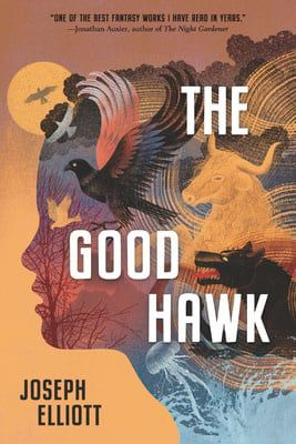 The Good Hawk (Shadow Skye #1) by Joseph Elliott