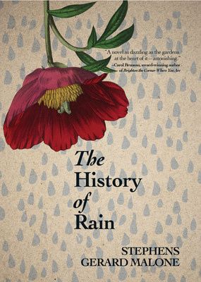 The History of Rain by Stephens Malone