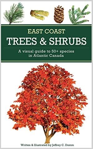 East Coast Trees &amp; Shrubs: A visual guide to 50+ species in Atlantic Canada by Jeffrey C. Domm