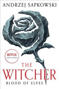Blood of Elves (The Witcher #1) by Andrzej Sapkowski