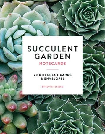 Succulent Garden Notecards: 20 Different Cards &amp; Envelopes by Edyta Szyszlo