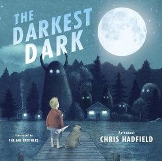 The Darkest Dark by Chris Hadfield, Kate Fillion, Terry Fan, Eric Fan
