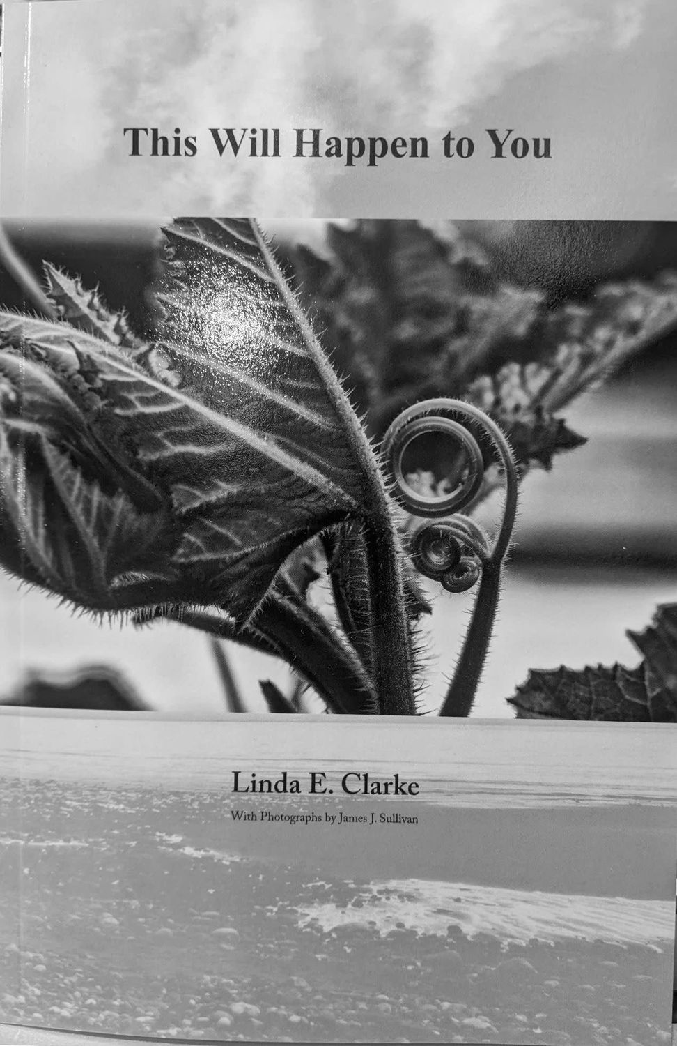This Will Happen to You by Linda E. Clarke