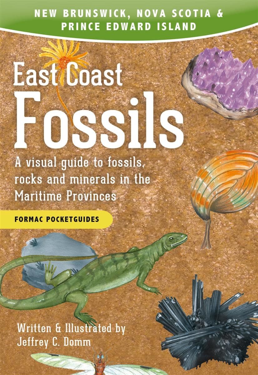East Coast Fossils: A visual guide to fossils, rocks and minerals in the Maritime Provinces, Third Edition by Jeffrey C. Domm