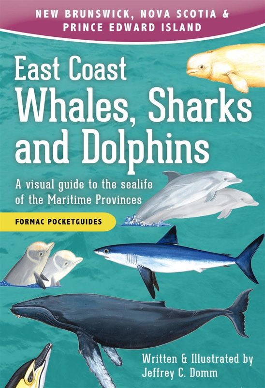 East Coast Whales, Sharks and Dolphins: A visual guide to the sealife of the Maritime Provinces by Jeffrey C. Domm