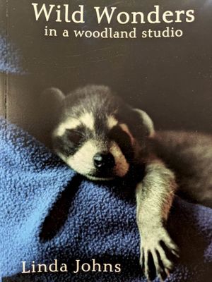 Wild Wonders in a Woodland Studio by Linda Johns