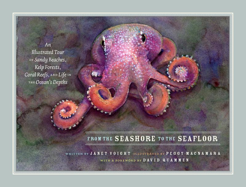 From the Seashore to the Seafloor: An Illustrated Tour of Sandy Beaches, Kelp Forests, Coral Reefs, and Life in the Ocean&#39;s Depths  Janet Voight ,  Peggy Macnamara