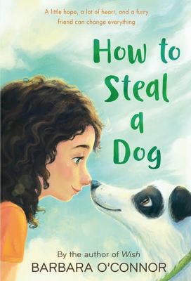 How to Steal a Dog by Barbara O&#39;Connor