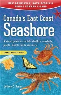 Canada&#39;s East Coast Seashore: A visual guide to starfish, shellfish, seashells, plants, insects, birds and more! by Jeffrey C. Domm