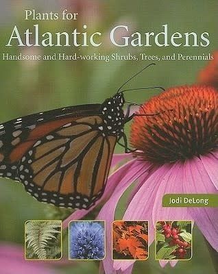 Plants for Atlantic Gardens: Handsome and Hard-Working Shrubs, Trees, and Perennials by Jodi DeLong