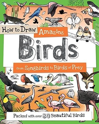 How to Draw Amazing Birds: From Songbirds to Birds of Prey by Fiona Gowen