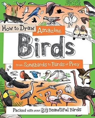 How to Draw Amazing Birds: From Songbirds to Birds of Prey by Fiona Gowen