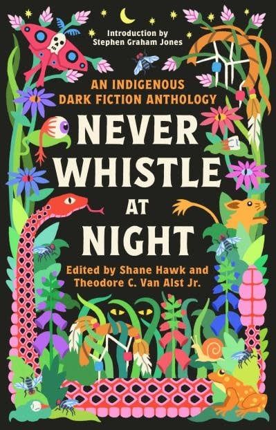 Never Whistle at Night: An Indigenous Dark Fiction Anthology - Are You Ready to Be Un-Settled? by Shane Hawk, Theodore C. Van Alst Jr.