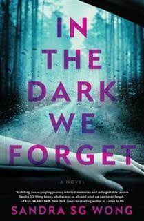 In the Dark We Forget by Sandra SG Wong