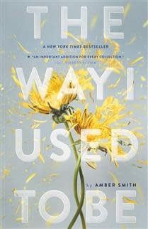 The Way I Used to Be (The Way I Used to Be #1) by Amber Smith