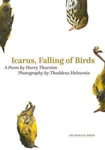 Icarus, Falling of Birds by Harry Thurston, Thaddeus Holownia