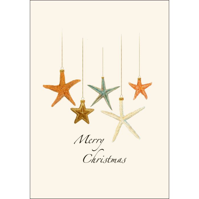 Boxed Notecards: Beachcomber Christmas