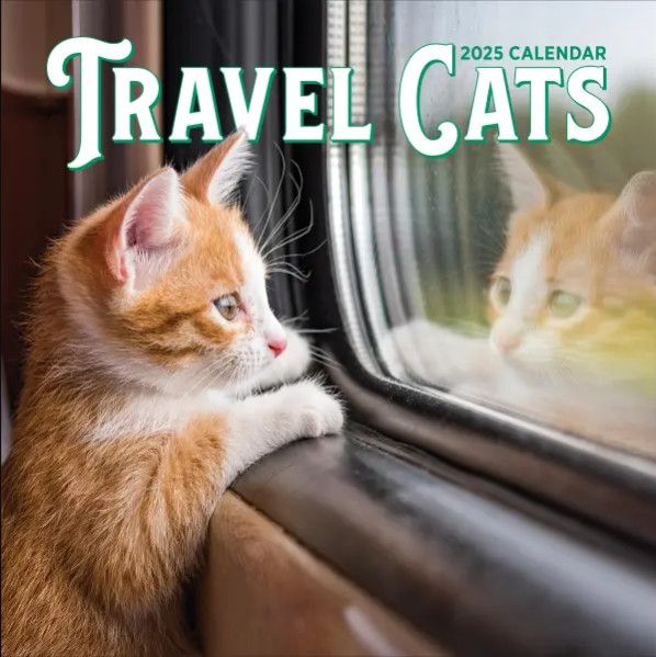 Travel Cats Wall Calendar 2025 by Workman Calendars