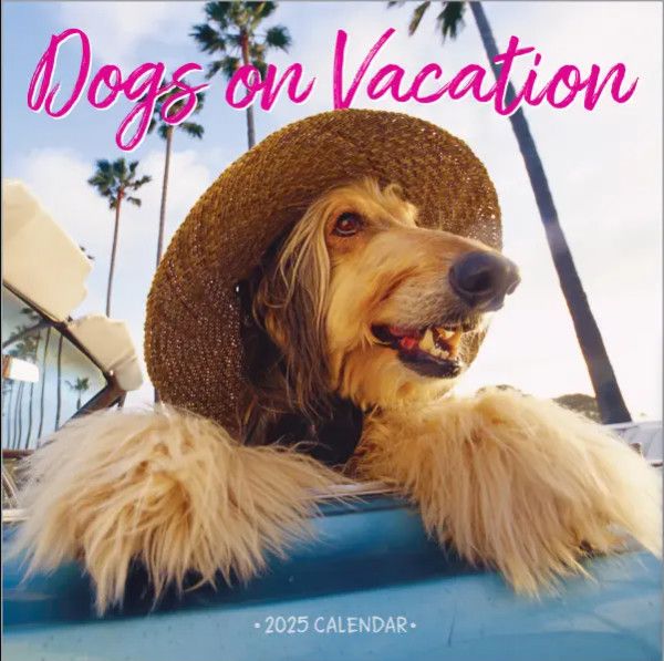 Dogs on Vacation Wall Calendar 2025 by Workman Calendars