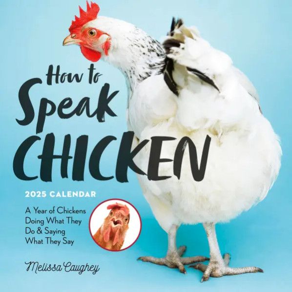 How to Speak Chicken Wall Calendar 2025: A Year of Chickens Doing What They Do and Saying What They Say by Melissa Caughey, Workman Calendars