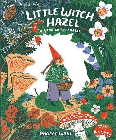 Little Witch Hazel: A Year in the Forest by Phoebe Wahl