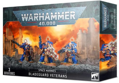 Space Marines: Bladeguard Veterans