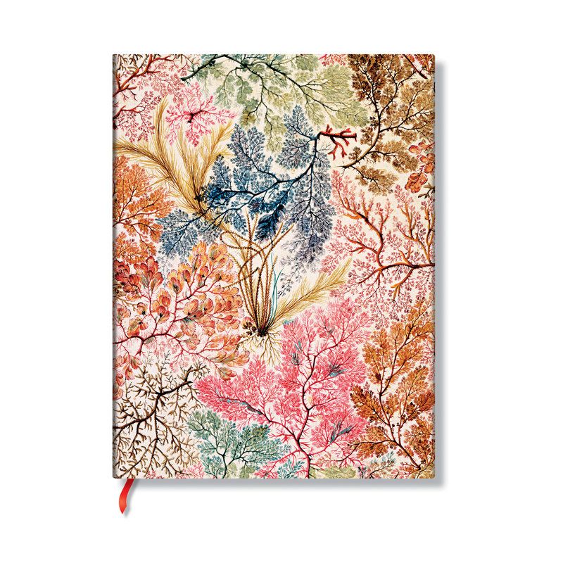 Anemone: Midi Lined Journal (William Kilburn)