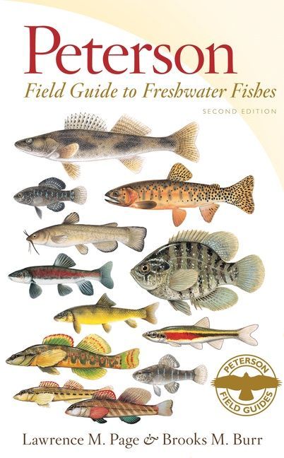Peterson Field Guide To Freshwater Fishes, Second Ed. by Dr. Lawrence M Page, Dr. Brooks M. Burr