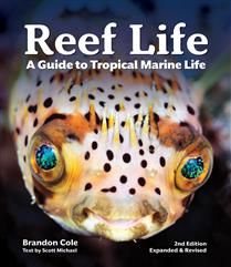 Reef Life: A Guide to Tropical Marine Life, 2nd Ed., Expanded and Revised by Brandon Cole, Scott Michael