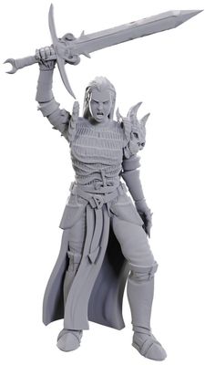 BLACKGUARD (DND UNPAINTED MINIS WV25)