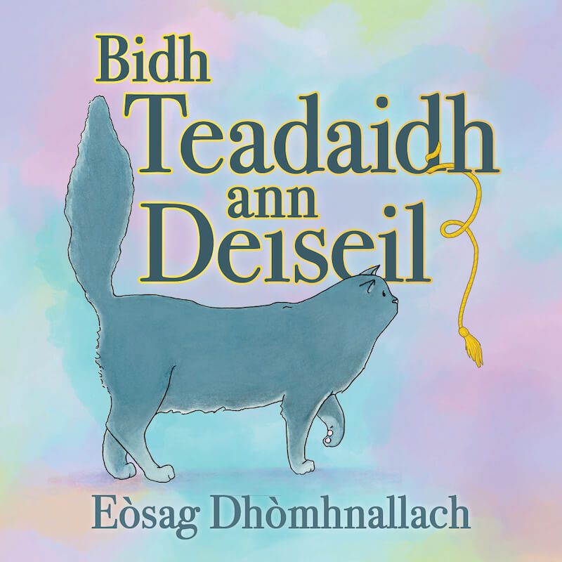 Bidh Teadaidh ann Deiseil by Eòsag Dhòmhnallach / Joanne MacDonald