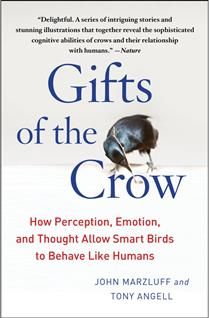 Gifts of the Crow: How Perception, Emotion, and Thought Allow Smart Birds to Behave Like Humans by John Marzluff, Tony Angell