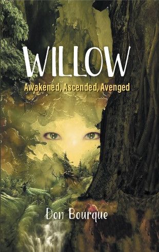 Willow (Willow&#39;s Wake #1) by Don Bourque